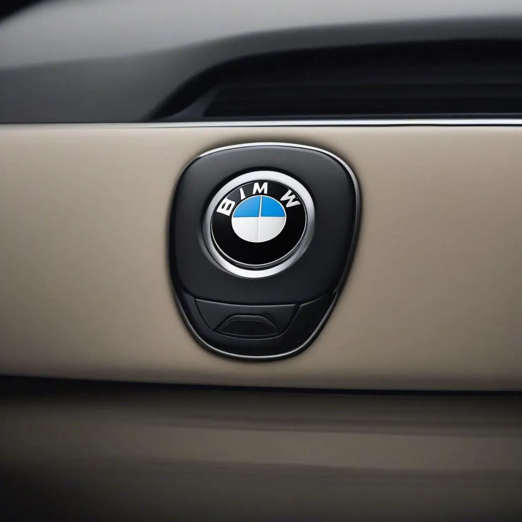 2013 BMW X1 key fob