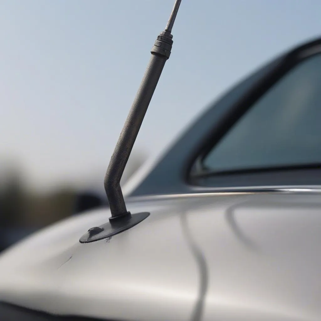 Car Antenna Repair