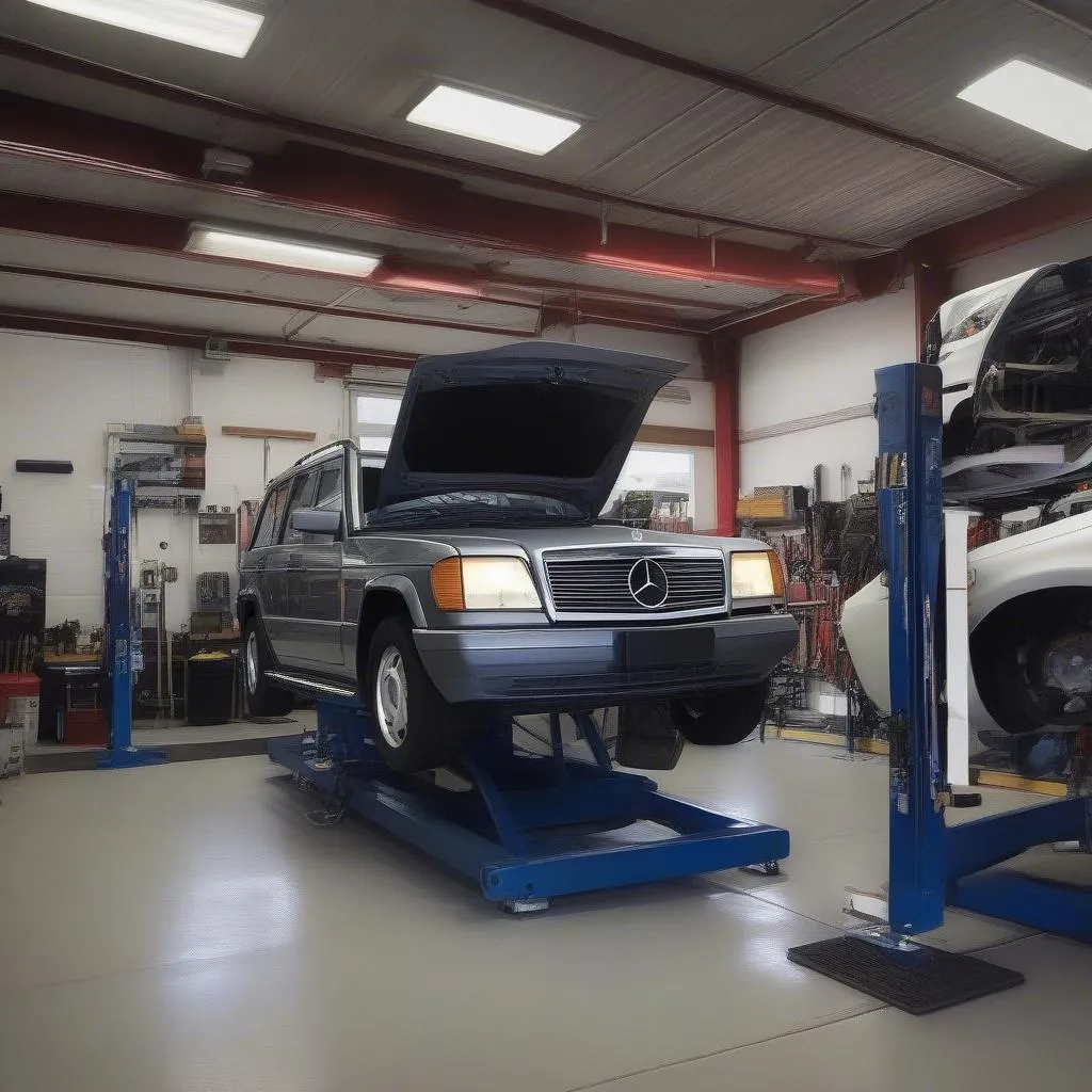 Car on a Lift for Inspection