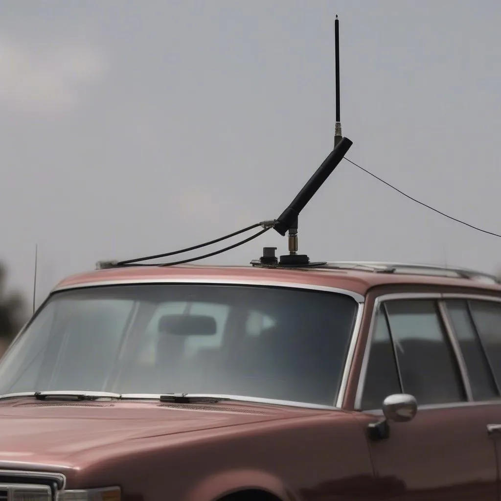 Car Radio Antenna