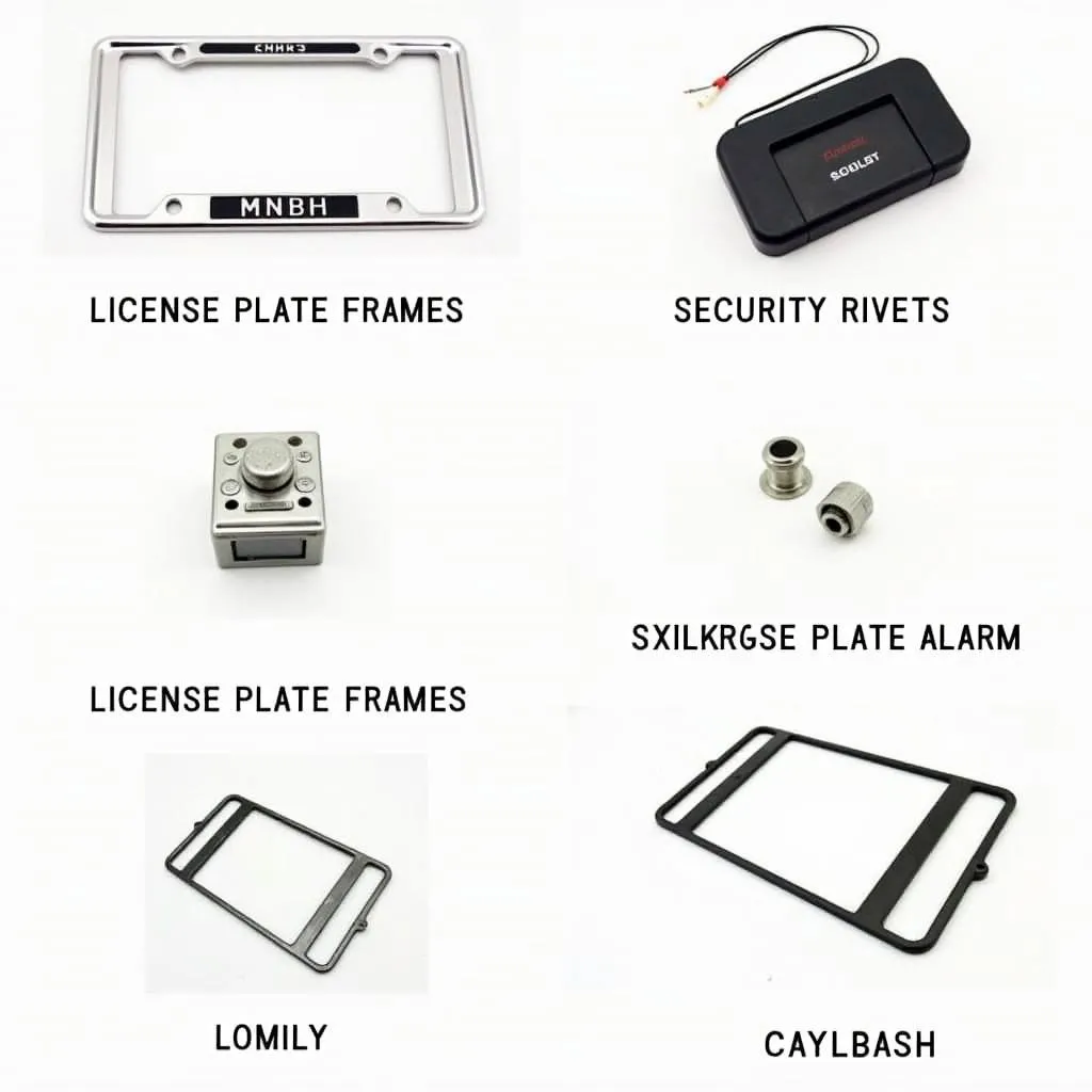 Various license plate security options 