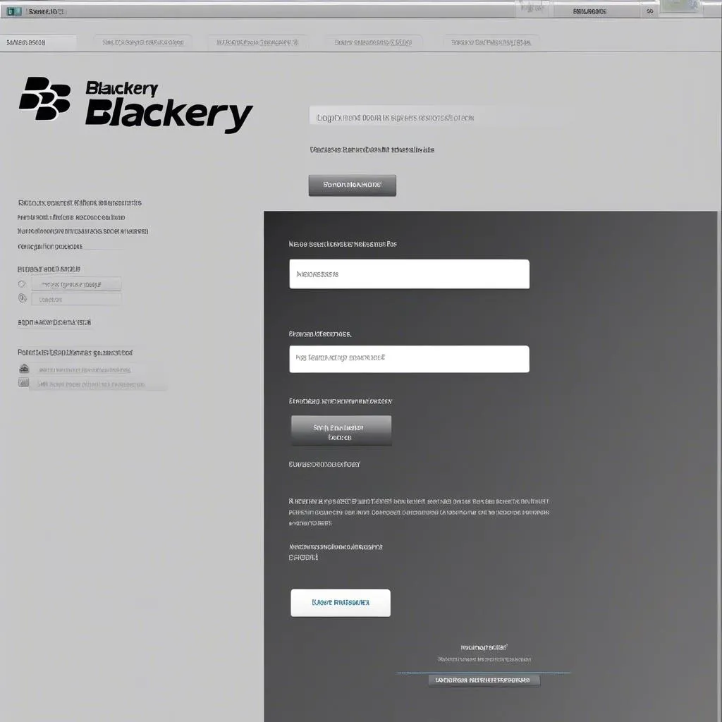 BlackBerry Protect website interface