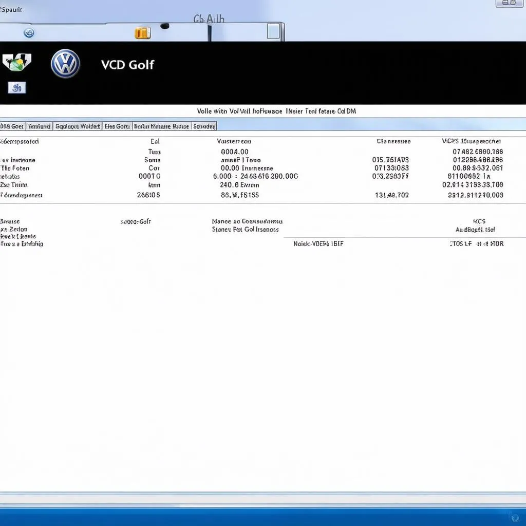 VCDS Software Interface