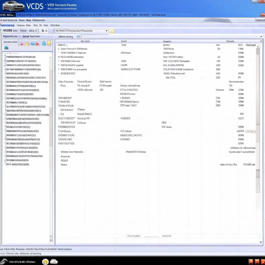 VCDS Software Interface