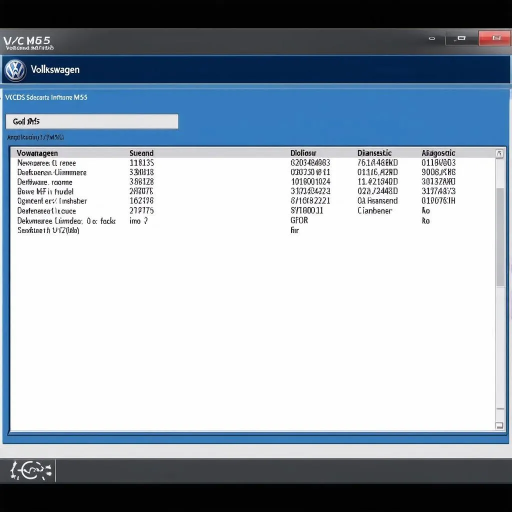 VCDS Software Interface