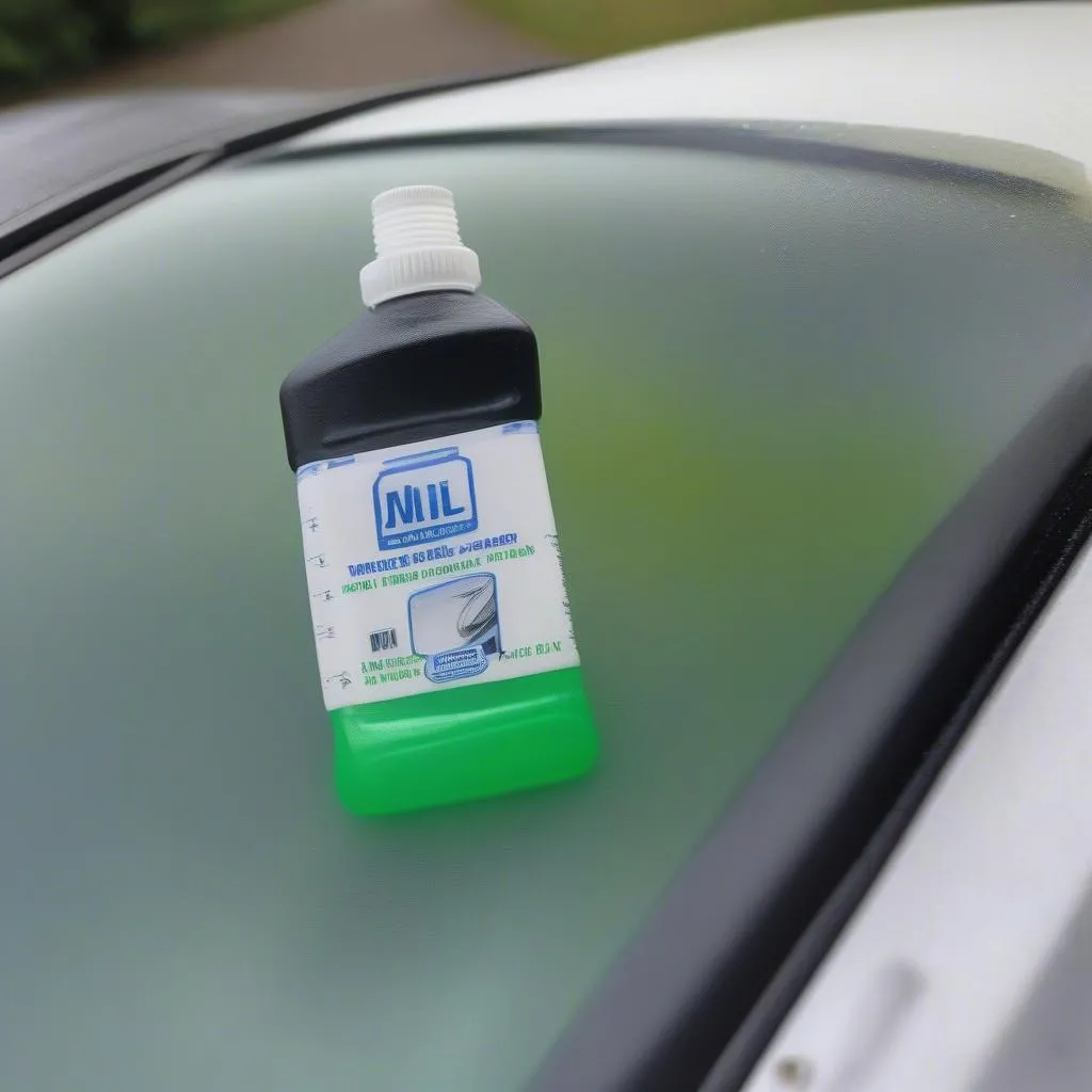 Windshield Washer Fluid Reservoir