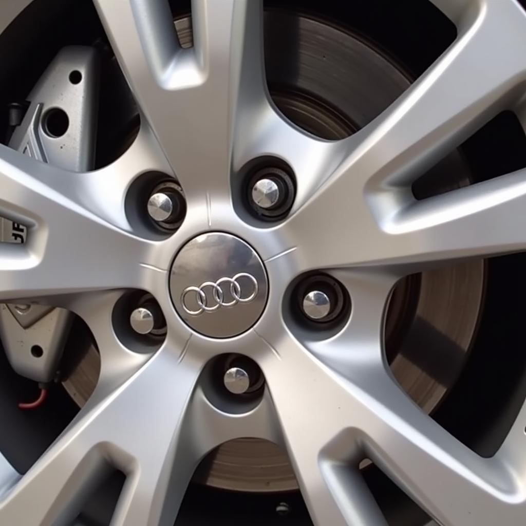 Inspecting Brake Pads on an Audi A4