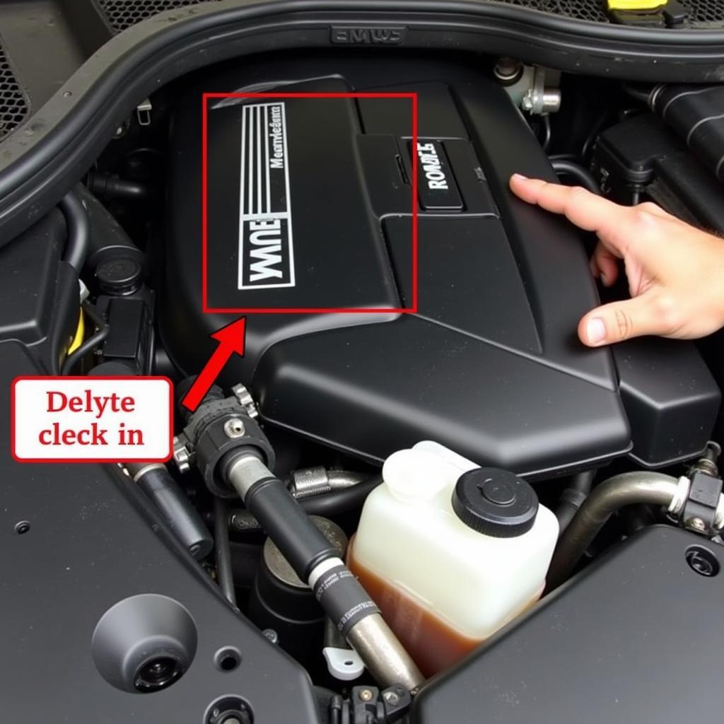 Checking the Brake Fluid Level in a BMW 3 Series