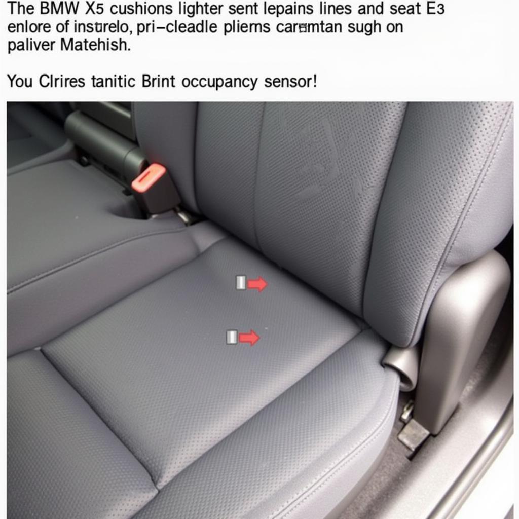 BMW X5 E53 Seat Occupancy Sensor 