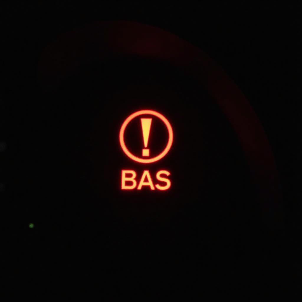 Brake Assist Warning Light