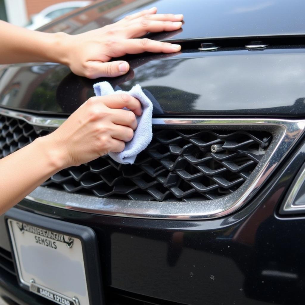 Cleaning Car Sensors