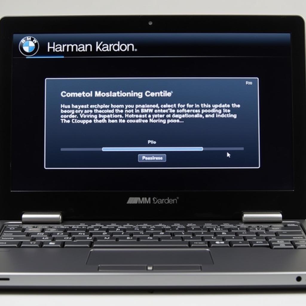 Updating the Harman Kardon System Software via Remote Connection