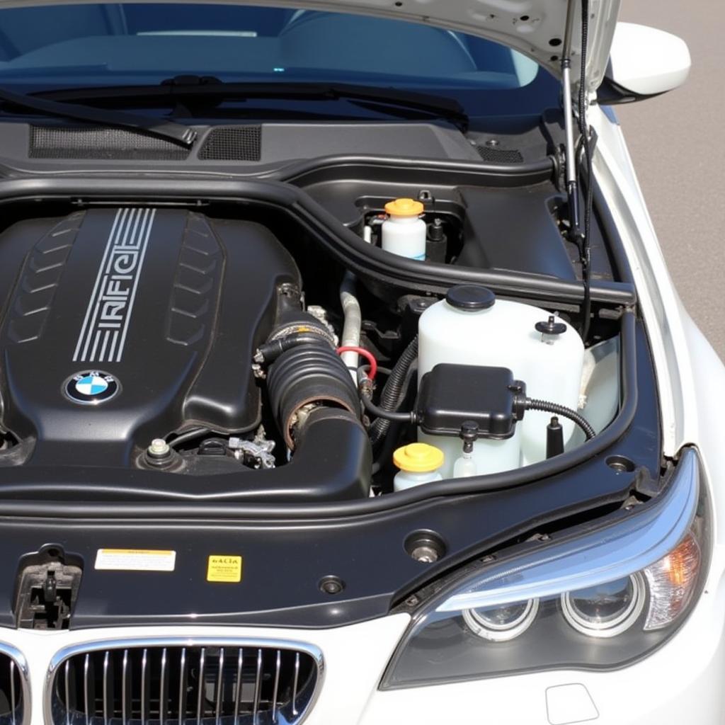 2010 BMW 528i Fuel Pump Location Diagram