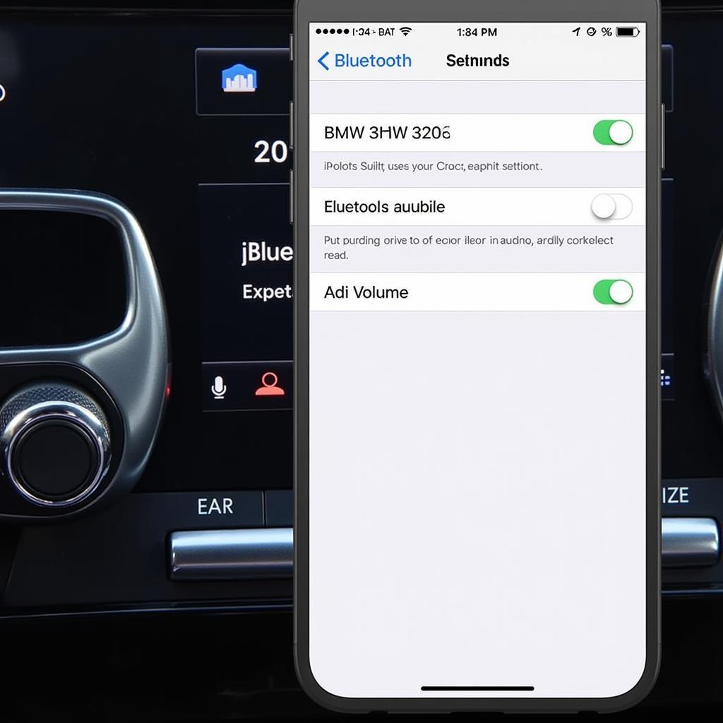 BMW 328i Bluetooth Audio iPhone Settings