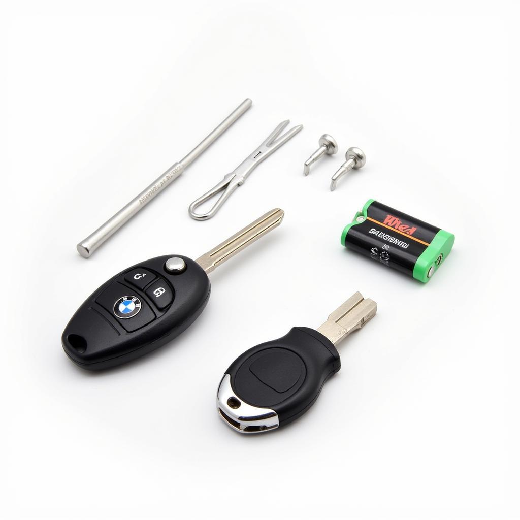 Changing the Battery in a BMW Display Key