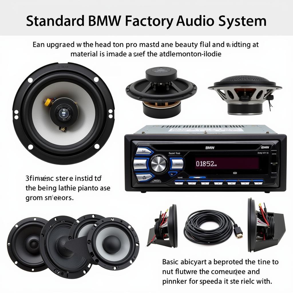 BMW Factory Audio System