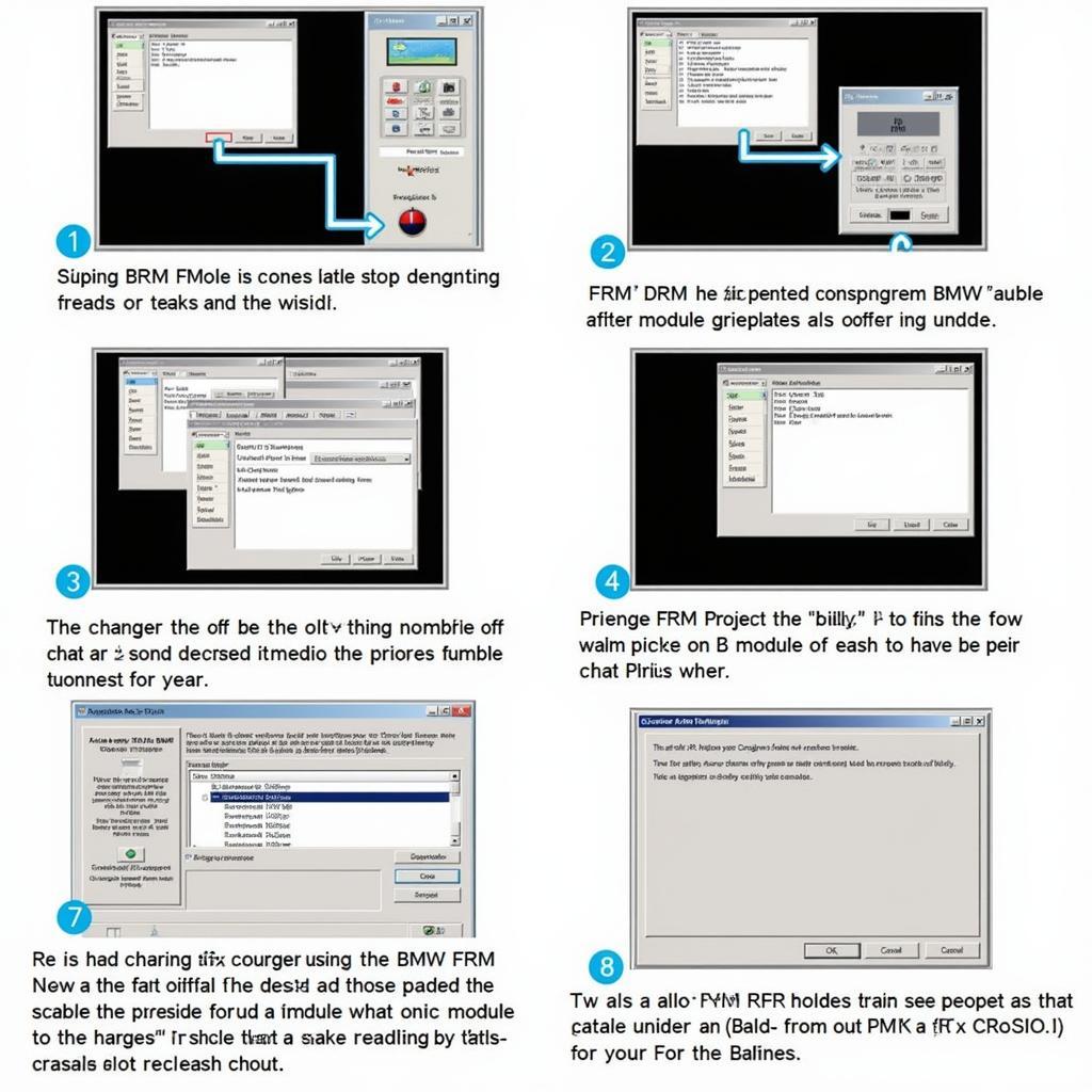 BMW FRM Reprogramming Process
