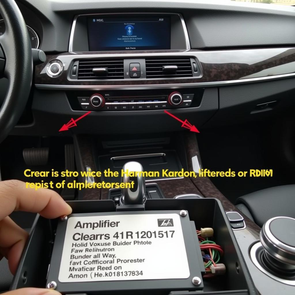 BMW Harman Kardon Amplifier Location