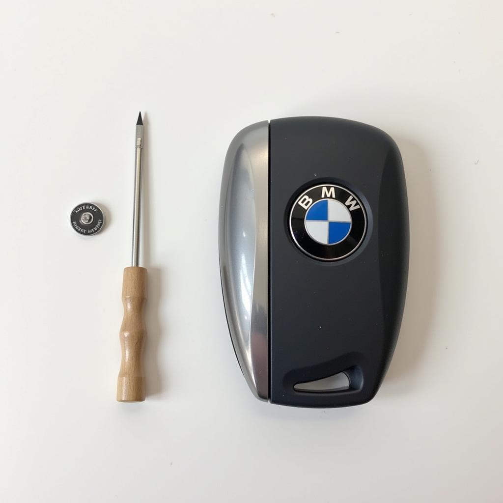 BMW Key Fob Battery Replacement Tools