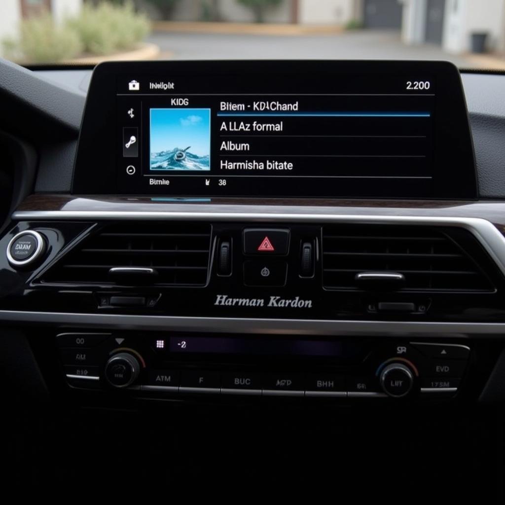 BMW Lossless Audio Playback