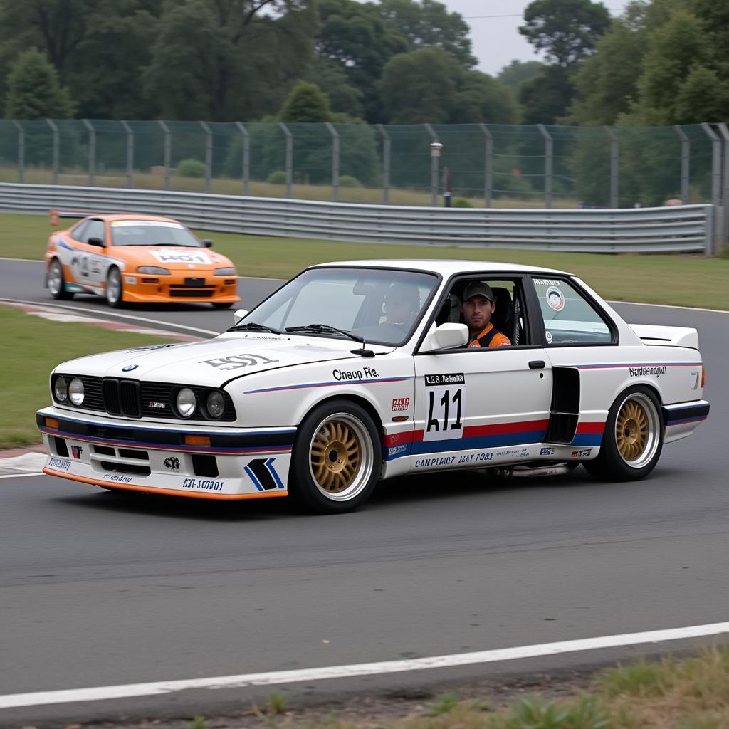 BMW M3 GTR in Racing Action