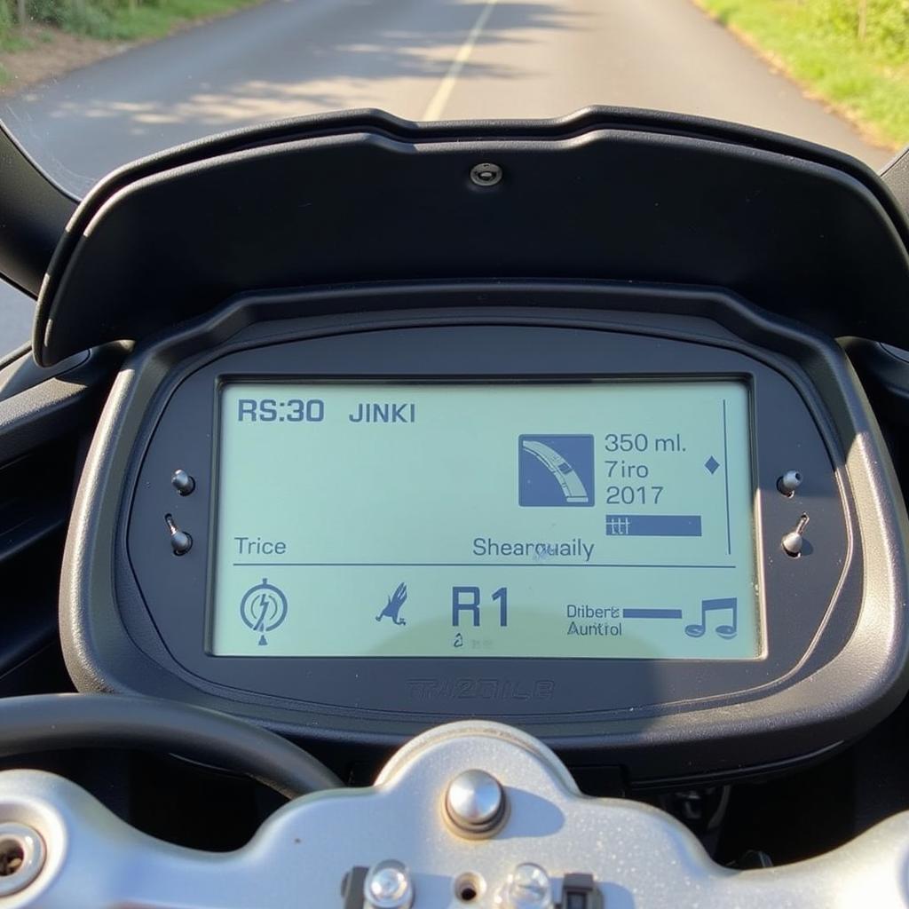 2011 BMW R1200RT Audio System Display