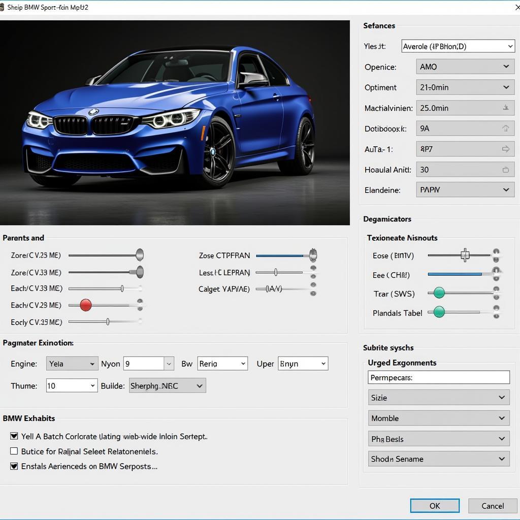 BMW Sports Car Software Tuning