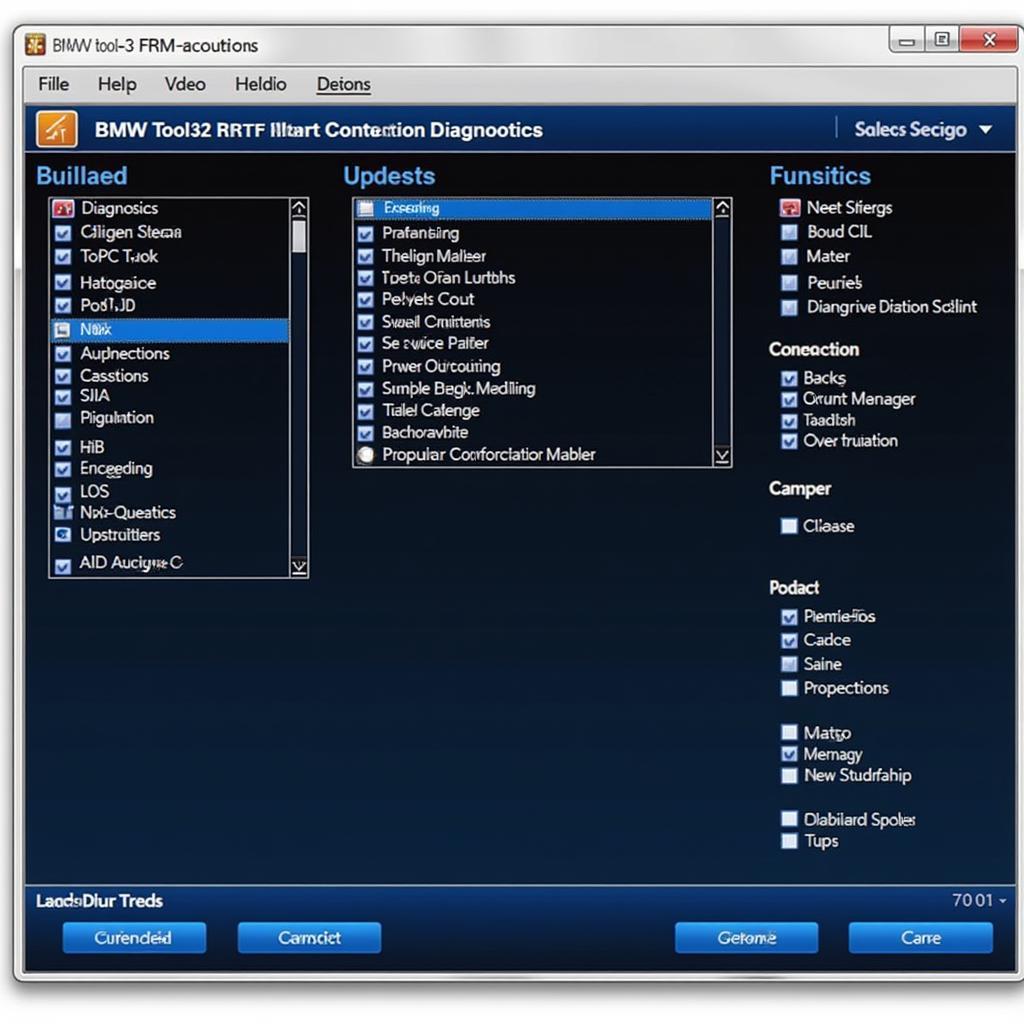 BMW Tool32 FRM Software Interface