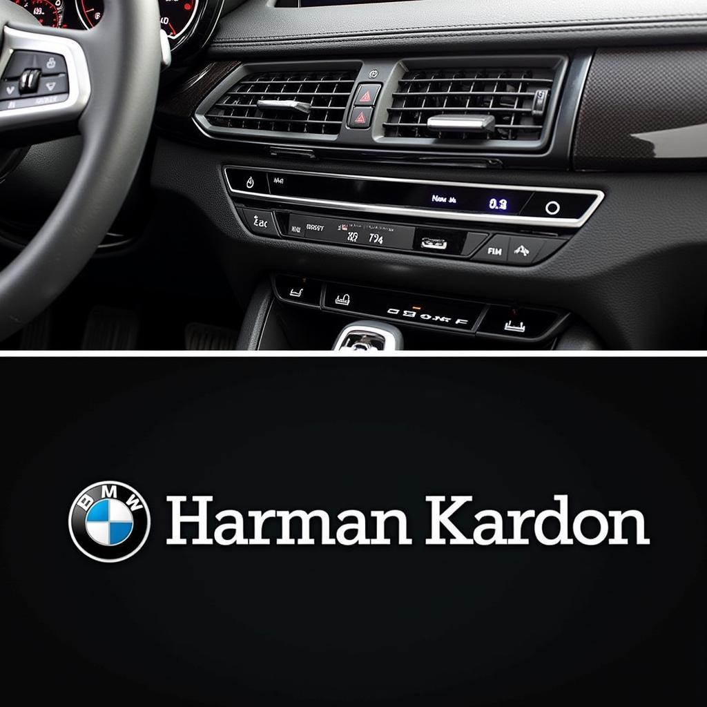 BMW X5 2018 Harman Kardon Upgrade