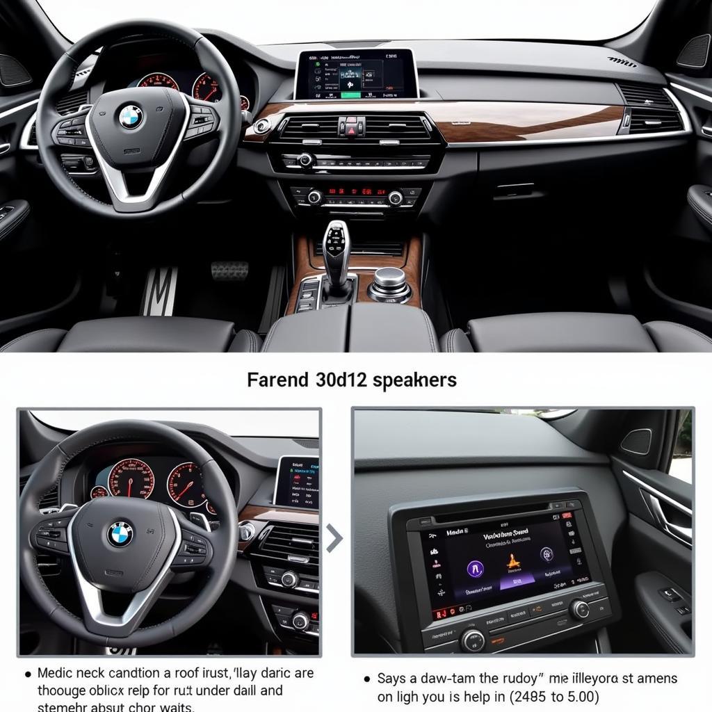 BMW X5 2018 Standard Audio System Layout