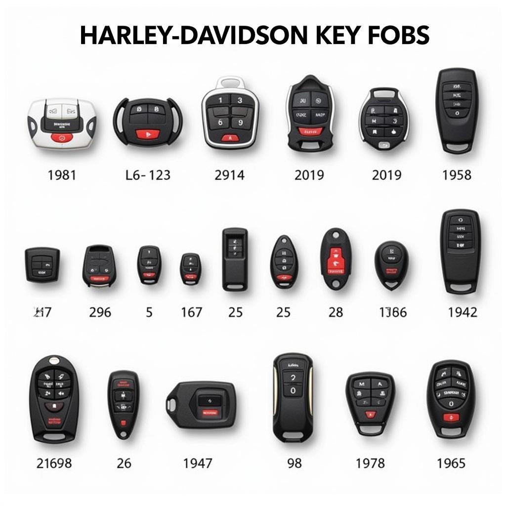 Different Types of Harley Davidson Key Fobs