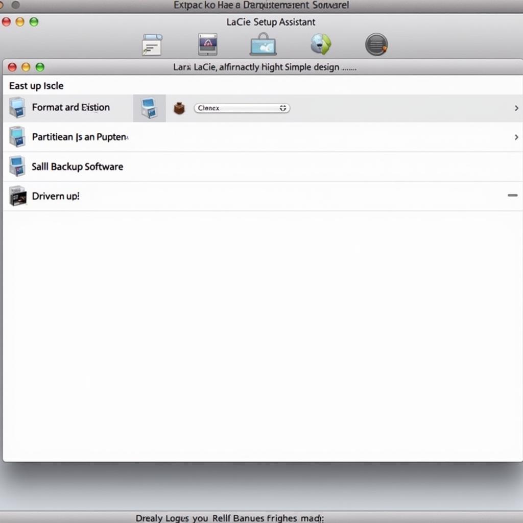 LaCie Setup Assistant Software Interface on a Mac