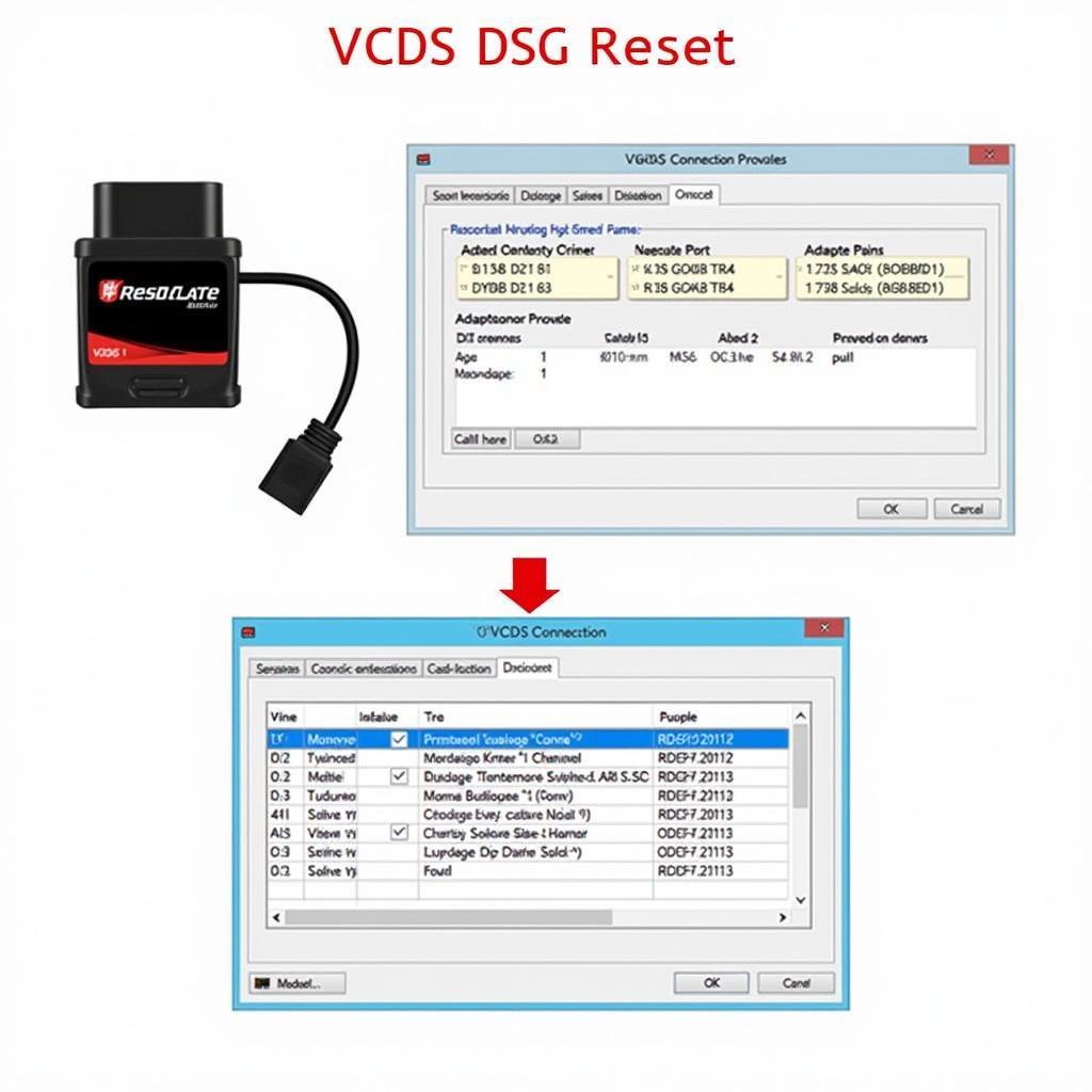 VCDS DSG Reset Process