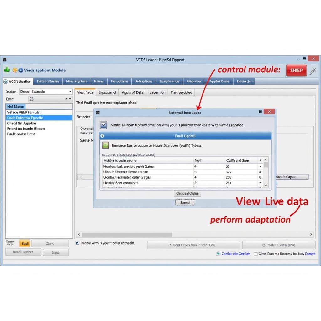 VCDS Loader Software Interface Overview