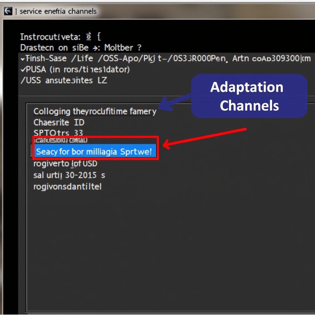 VCDS Service Interval Adaptation Channels