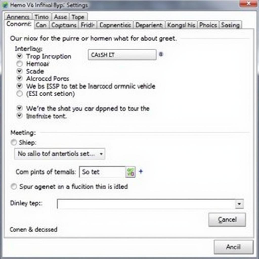 VCDS Software Settings Configuration