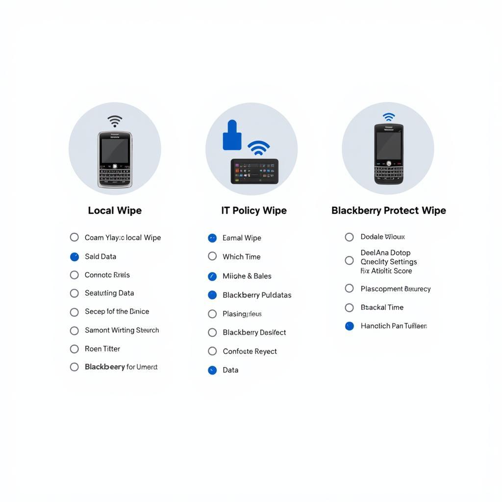 Blackberry Security Wipe Types