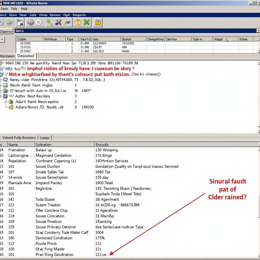 BMW 550i Diagnostic Software in Use