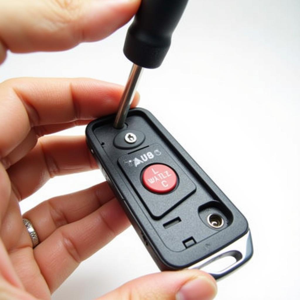 Removing the Old Battery from a Ford Key Fob