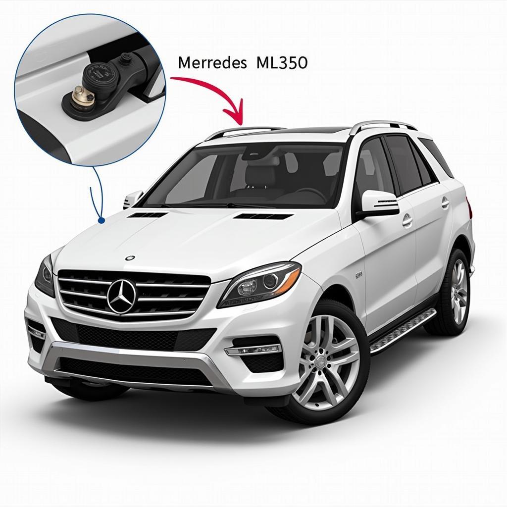 Mercedes ML350 AdBlue Tank Location