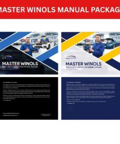 Combo WinOLS Manual - Complete ECU Tuning System for Petrol & Diesel Engines